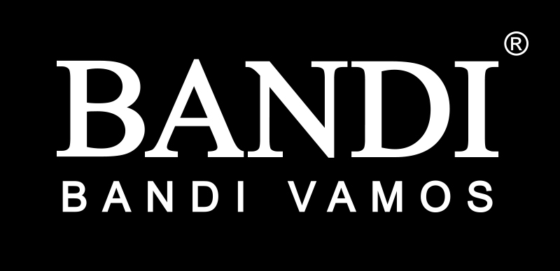 bandi-logo-2